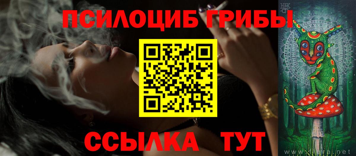 Клинцы  Псилоцибиновые грибы Psilocybe  Вход с VPN 